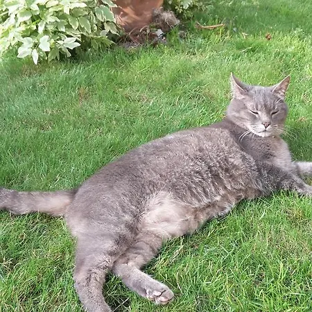 Les D'hotes Joy Gasthof 3*